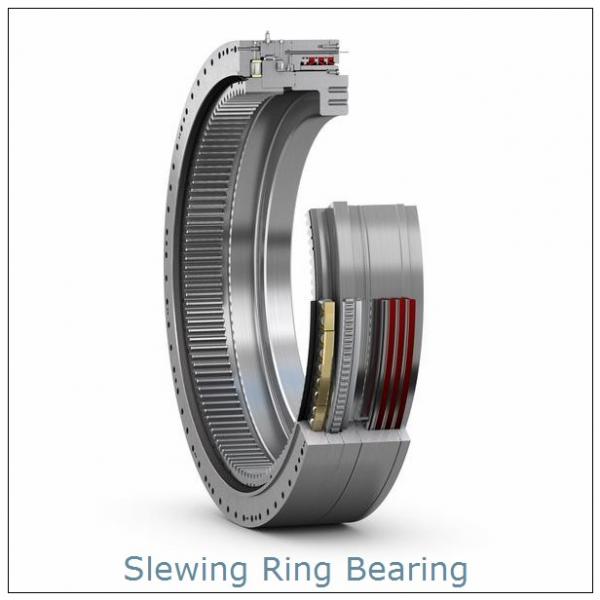 Large Diameter Ring Gear,Slewing Bearings, Double Spur Gear #1 image